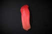Tun Nigiri (1 stk.)